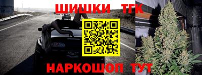 шишки Лесосибирск