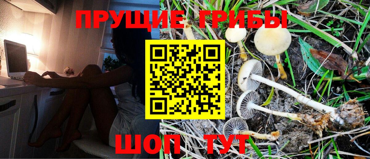 Галлюциногенные грибы ЛСД Каменск-Уральский